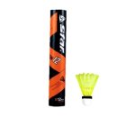 배드민턴 이미지