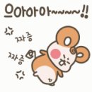 가락미용실 이미지