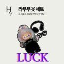 정품스토리 | 지그재그 라부부 정품 옷 세트 구매 & 찐 후기 (feat. 웃픈 언박싱 스토리)