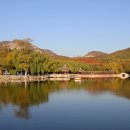 베이징최고야 이미지