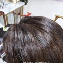 큐사랑 봄헤어