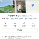 알파목장 이미지