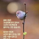 25년2월 18일 화요일 서경방 출석부 이미지