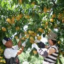 설천면114 이미지