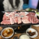 돈그라미 이미지
