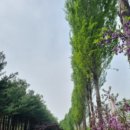 월계동 보건지소 이미지