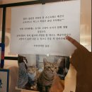 묘한안마원 | 포항 실력 있는 마사지 포항이동안마원 후기