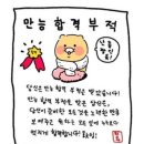 씨유 강원대 60주년 기념관점 | [자격증] 2026 사회조사분석사 2급 실기(필답형 &amp; 작업형) 노베이스 시험 후기 / 공부방법 공유