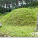 강원장의사 이미지