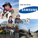 삼성파워세탁소 | [일상일기] 삼성복지제도알아보기/가을용봉산등산후기/꿀현이의생각기록/블챌포토덤프/야외데이트추천