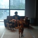 착한개조아 이미지