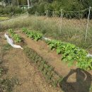 지후농장 이미지