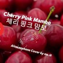Cherry Pink Mambo/ 한명수 알토색소폰 커버연주/ 이미지