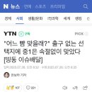 "어느 뺨 맞을래?" 출구 없는 선택지에 중1은 속절없이 맞았다 이미지