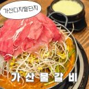 명 디지털 | [서울/가산] 가산디지털단지 맛집 '가산물갈비' 산더미물갈비 실물 후기
