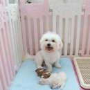 미스터브리더 이미지