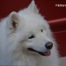구립한남노인요양원 | 한남동요양원 구립한남노인요양원 안심하고 맡길 수 있는