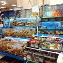 하나물산 | 노량진수산시장맛집 태한물산 대게,각종 해물 찜포장 리얼후기