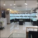 어바웃독 이미지