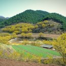 화전2 경로당 이미지