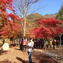 해오름농장 3 이미지