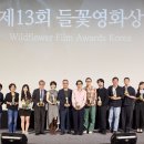 들꽃처럼 이투데이