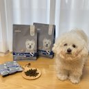 참견펫푸드 | 강아지피부병사료추천 비숑 눈물사료 베츠초이스 하이포알러제닉 피부모질