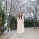 아라가야 냉면 석쇠불고기 2