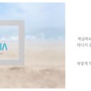 부띠크 엘리시아 이미지