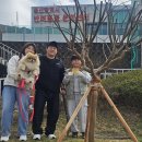 [2026.04.05] "한그루의 약속, 반려견과 함께" 울산반려동물문화센터 '펫웰다잉 식목일 행사' 개최 이미지