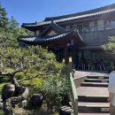 동월계곡펜션 | 주말 데이트 공주 카페 추천 카페솔향 한옥카페