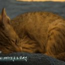 주거래빠 네이버블로그
