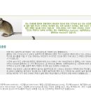 세기위생방역