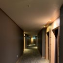 파도랑별이랑 | 내돈내산 커플여행 동해 숙소 현진관광호텔 강추 후기👍