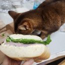 산정정류소 | 2025 왓츠인마이블로그 10월 둘째주 일상기록 (추석연휴)