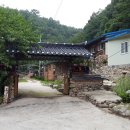숫골농장 티스토리