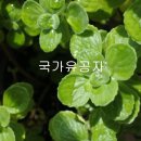 김덕수 행정사사무소 이미지