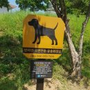 연대앞 공중화장실 이미지