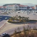 용인해피트리펜션