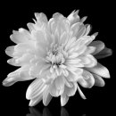 이태원1주민센터 이미지