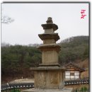 지보사