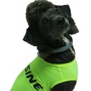 축하하개 이미지