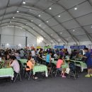 강진청자축제 이미지