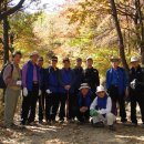 제192차 산행 - 백양산 성지곡 수원지 이미지