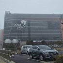 아이디어안경 여수엑스포점 | [여수] 아쿠아플라넷 여수 - 귀엽고 신기한 해양생물들이 가득해서 재밌는 여수 놀거리 추천 (ft. 헬가...