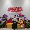 루루바이오 | 여름휴가는 오키나와 지 ~!!✈️