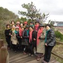 서귀동-19 이미지