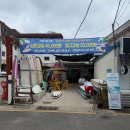 일석이조여행클럽주 | 울산 서핑 추천 진하해수욕장 진하서핑스쿨 초보 가족 서핑 체험 후기