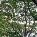 우곡사 저수지 이미지