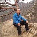100-1-000049 Daum카페